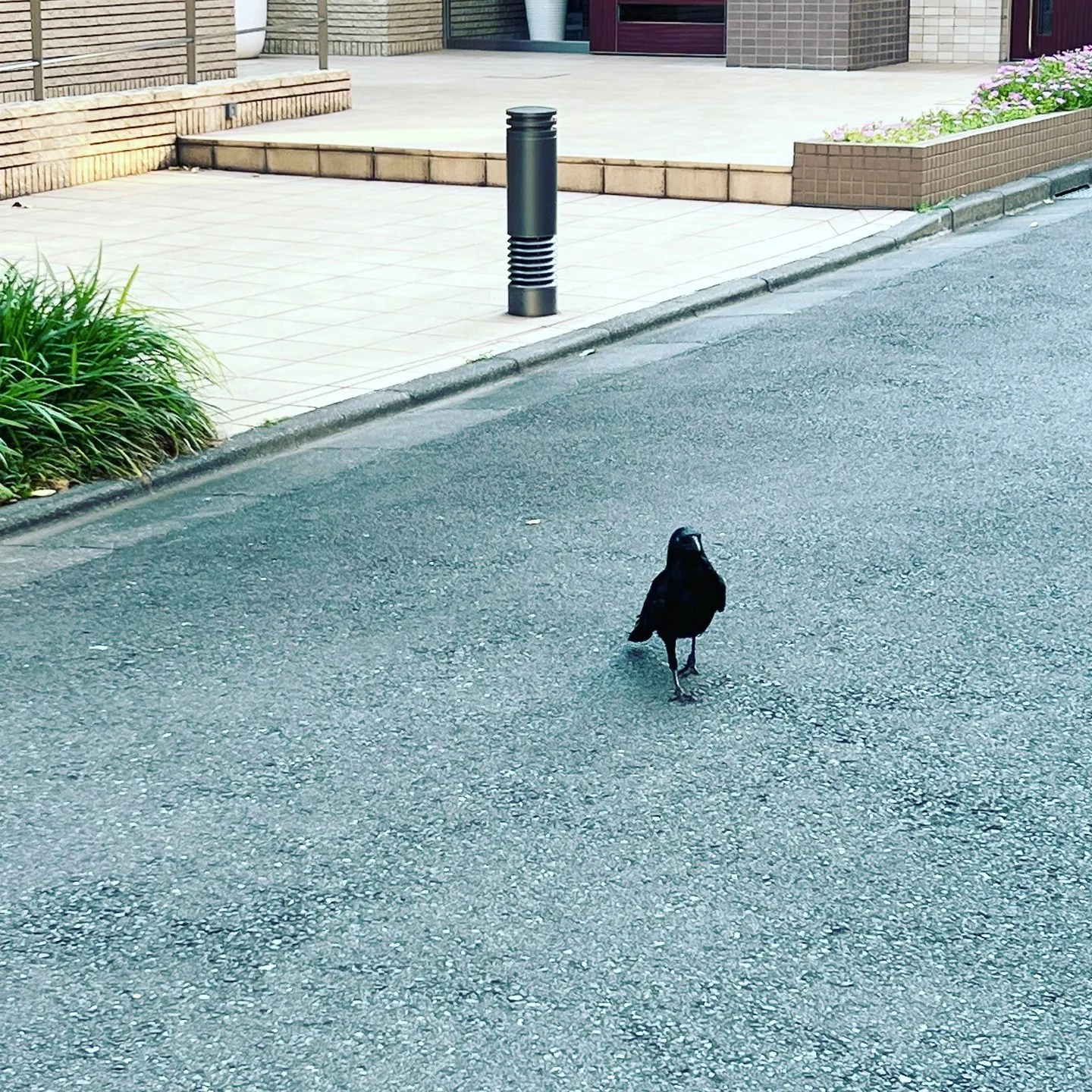 梅雨入り疲れ、自律神経の乱れにいかがでしょう？眼精疲労改善コ...