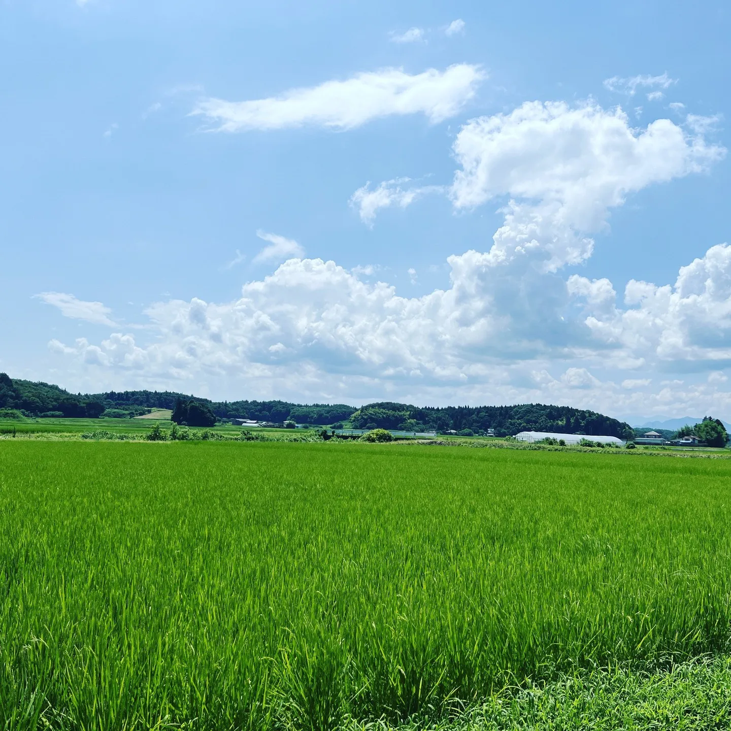 お盆も平常営業！いづみ堂整体院、土日祝日も営業中