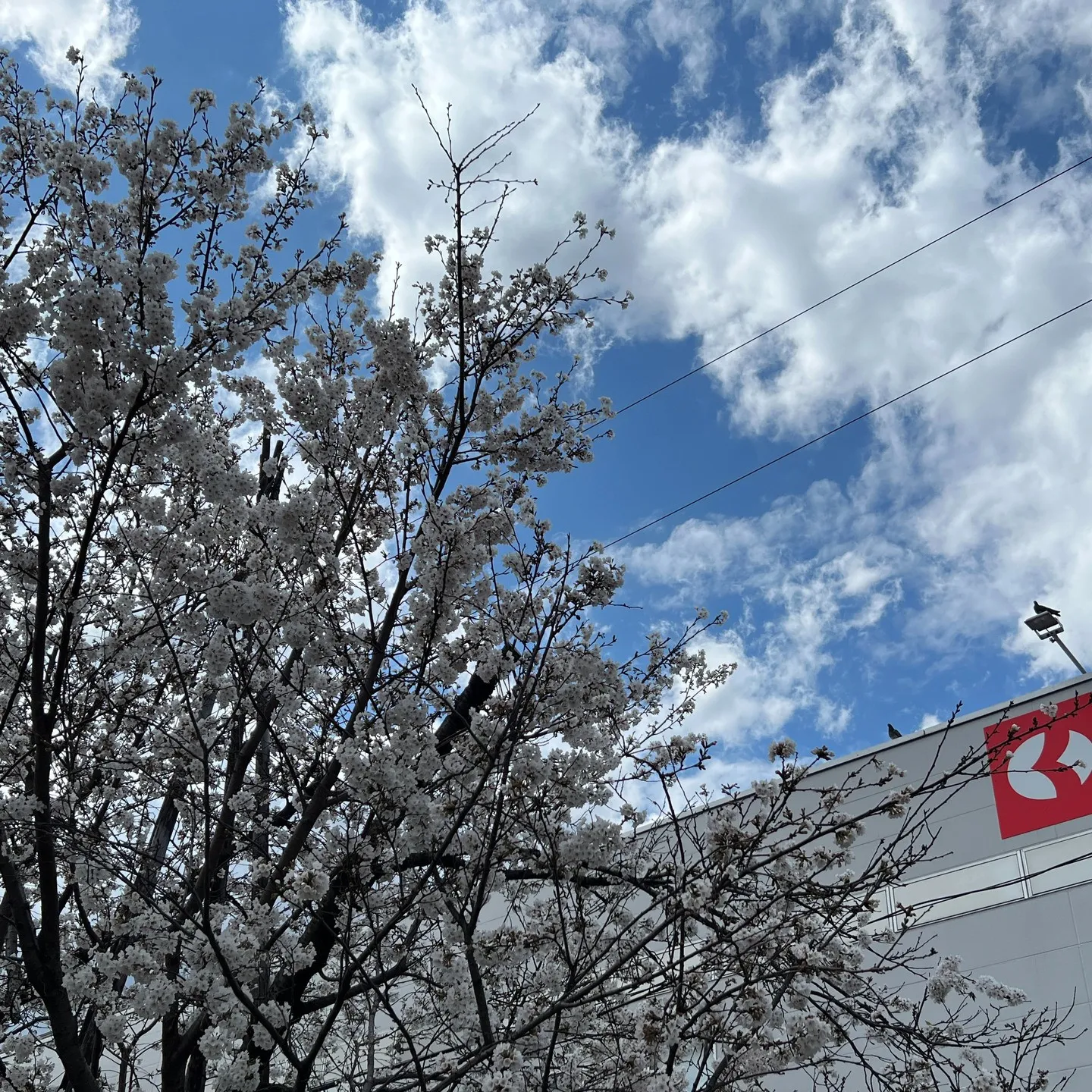 「寝不足」「頭痛」眼精疲労改善コースで自治津神経の乱れも改善...