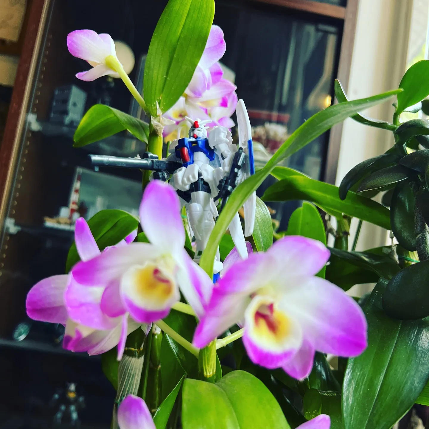 「肩甲骨はがし」で肩甲骨も動きを取り戻し肩こりも楽に