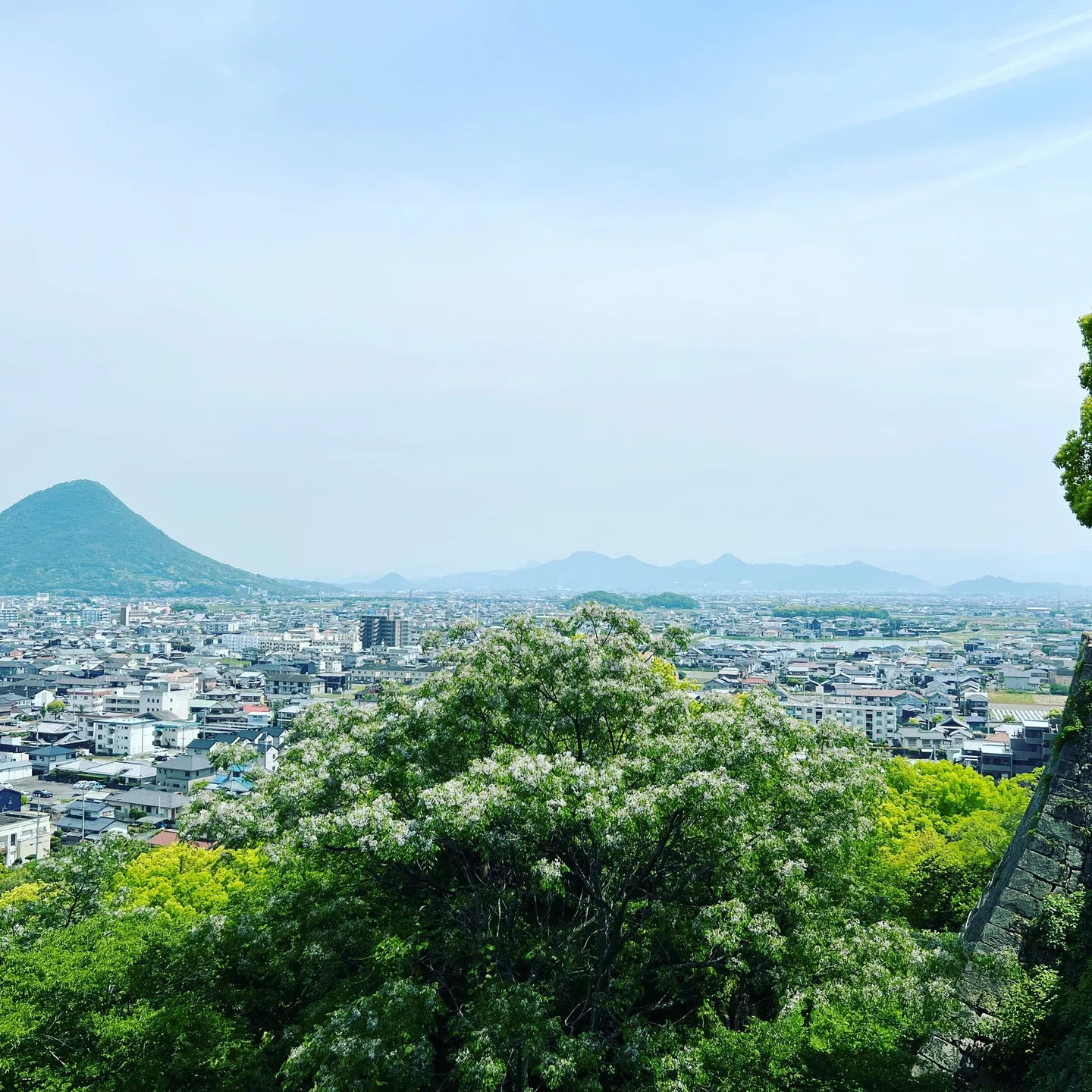 朝ストレッチ、朝シャワーは交感神経を刺激！運動指導もしてます...