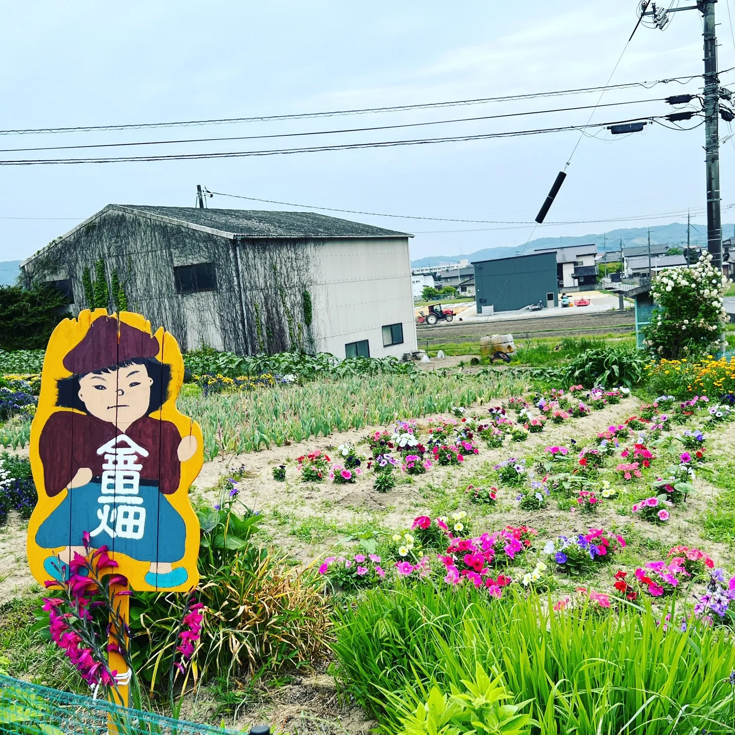 「頭痛のたね」首周り、肩周りのケアはお任せ下さい