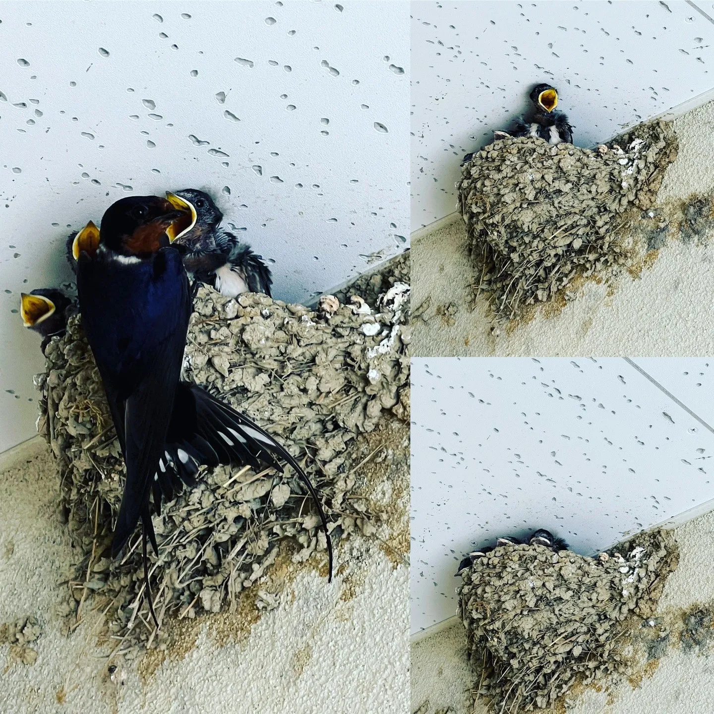 スマホ肩、猫背　身体のメンテナンスに気を使って！スマホへの依...