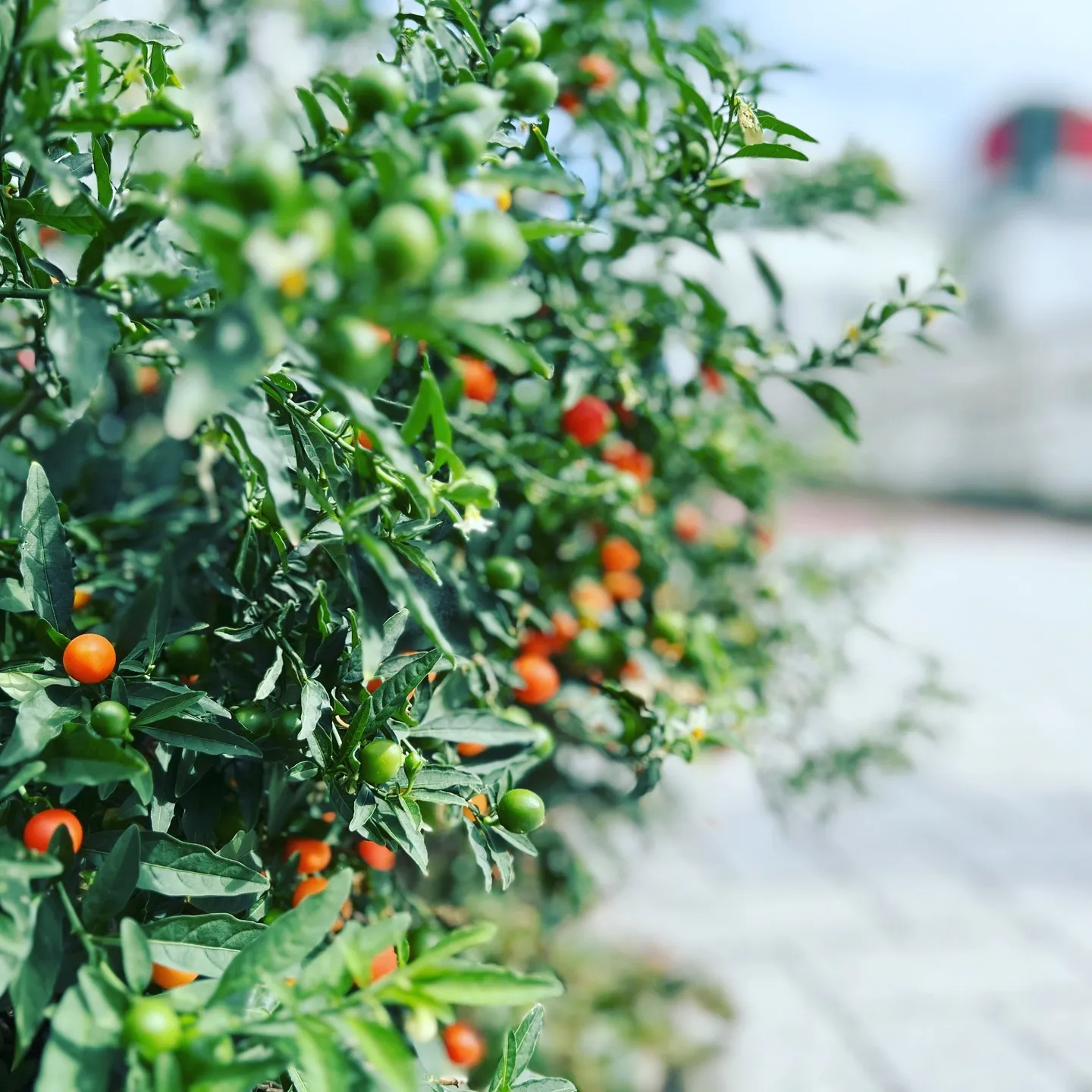 「辛いな･･･」と感じたら　お盆等の連休無く通常営業いたしま...