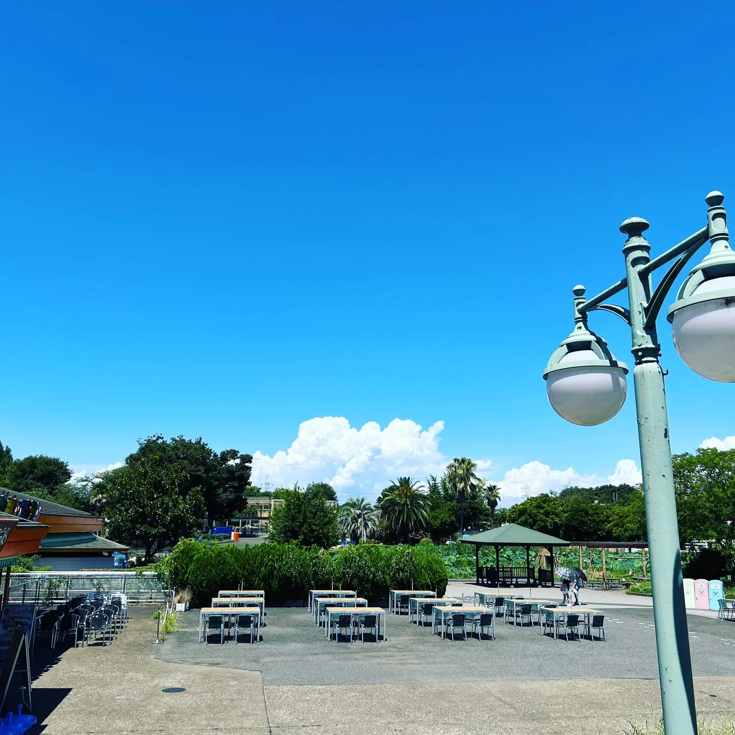 お盆も平常営業中(^^)腰が、頚を、肩こりが･･･