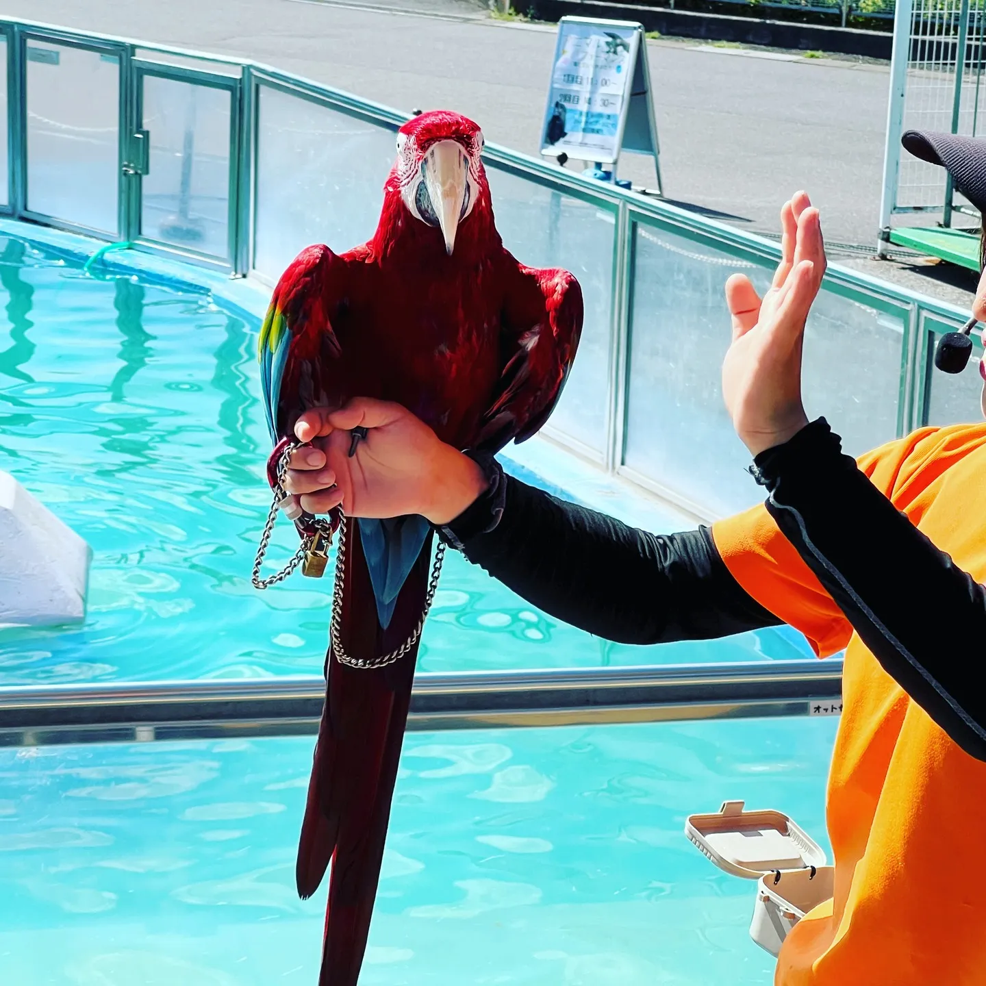 土曜、日曜祝日も営業　肩こり　眼精疲労　ぎっくり腰