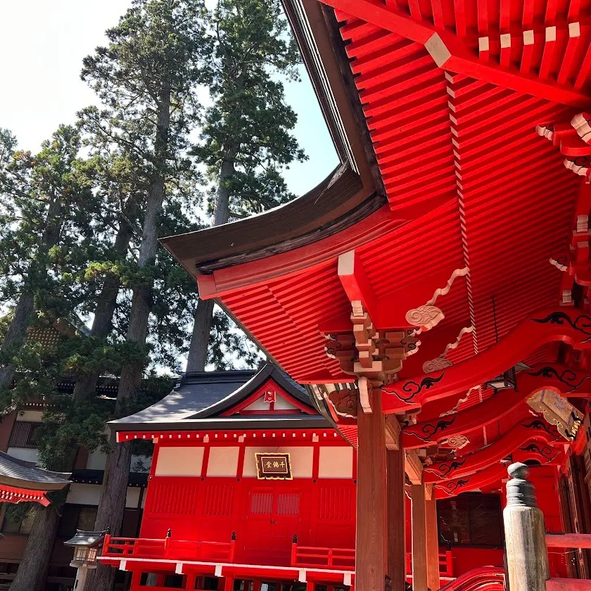 腰痛「駆け込み寺」のように(^^)眼精疲労も