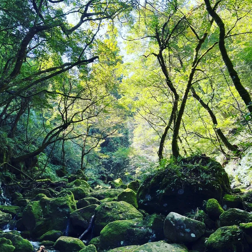 整体、矯正、眼精疲労改善コースの組み合わせで体を整え、回復し...