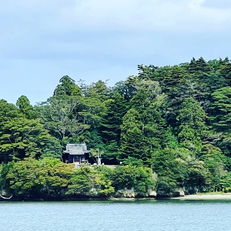 猫背も理解して「肩甲骨はがし」ストレートネックや胸郭出口症候...