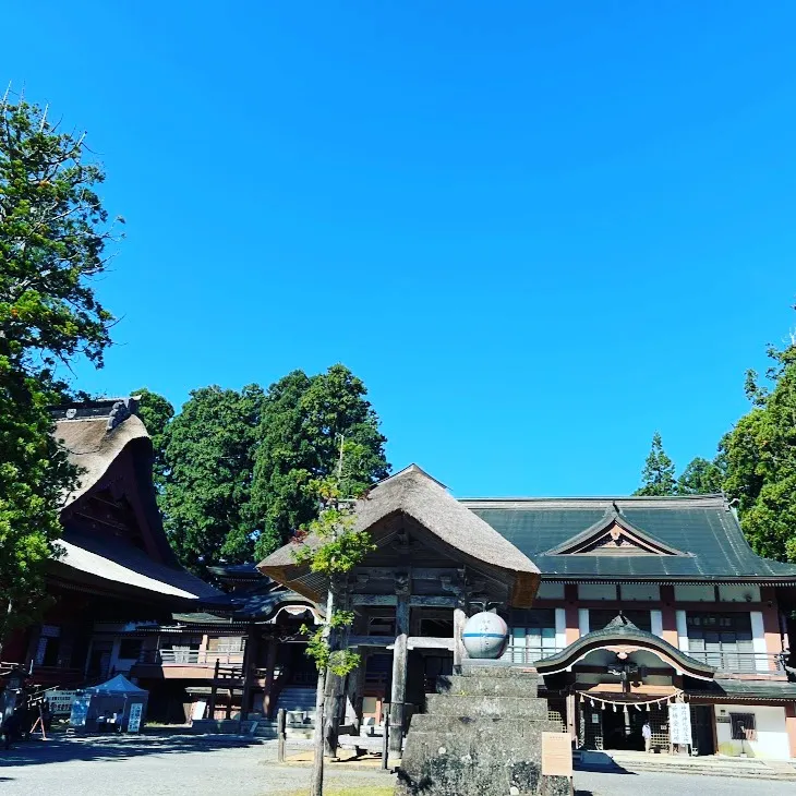 脊柱（背骨）のゆがみや骨盤のゆがみ　静電気もストレスも溜めな...