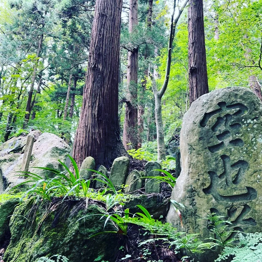 痛めた体を丁寧に　ストレッチやトレーニングの指導も