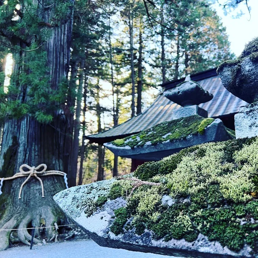 自律神経を正常にして首や肩の疲れも改善