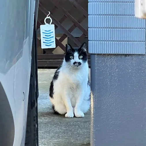 花粉でお困りに方に！眼精疲労改善コースで呼吸もしやすくなりま...
