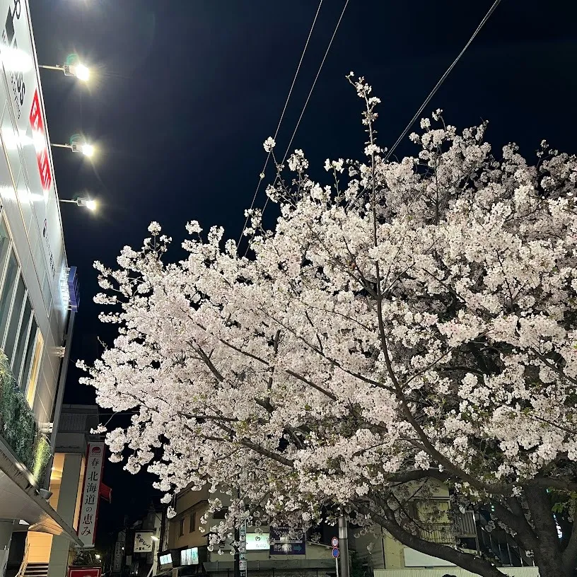 体が悲鳴を･･･肩や背中、腰にダメージが･･･ 年度の切り替...
