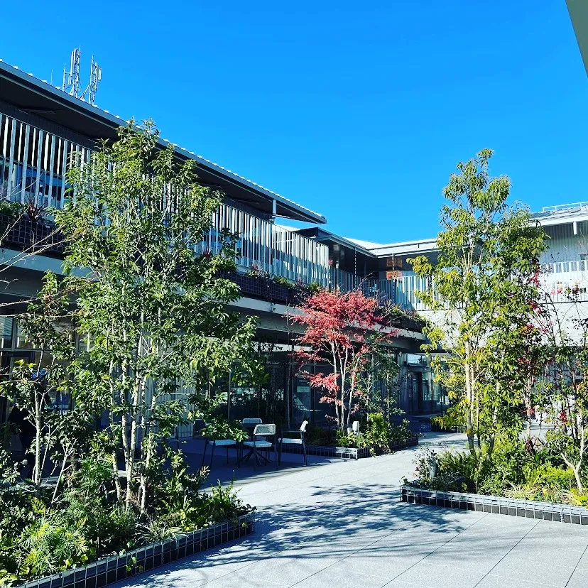 「暑熱順化」むくみ、足のつりには矯正、マッサージで